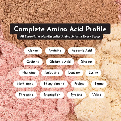 Chocolate Protein Powder - Individual Stick