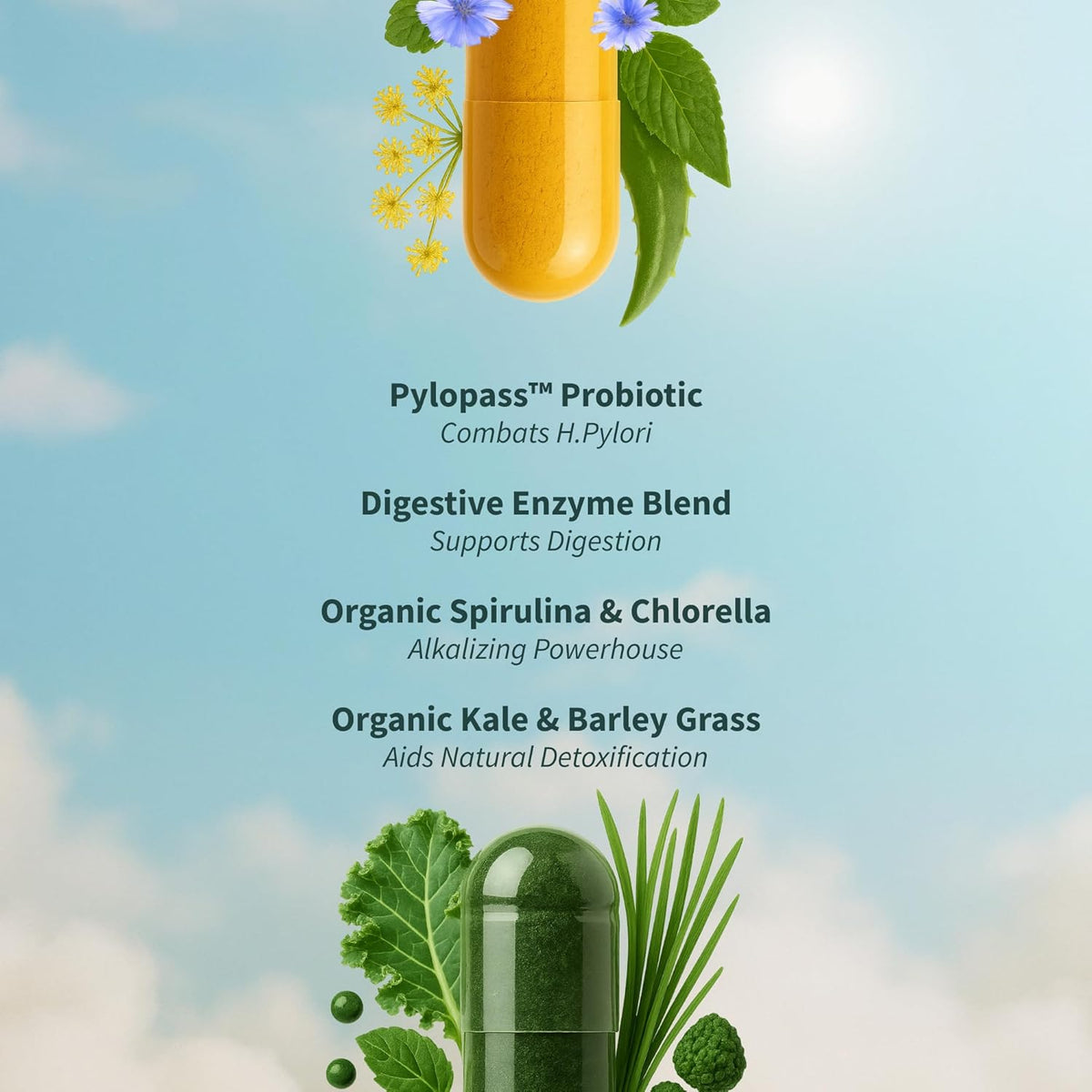 Gut Health Lipase Supplement